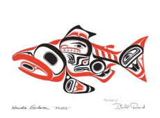 Haida Salmon