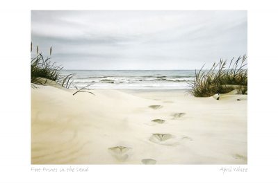 Foot Prints in the Sand