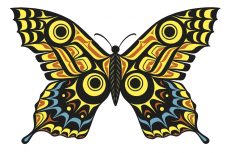 Haida Butterfly