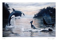 Orcas