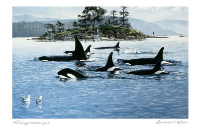 Passing Through-Orcas
