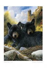 Black Bear Cubs