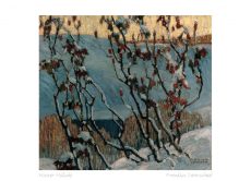 Winter Hillside