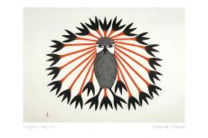 Majestic Owl, 2011