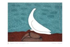 Aqigirq (Rock Ptarmigan), 2011