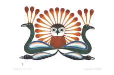 Sunburst Owl, 2002