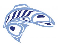 Blue Salmon