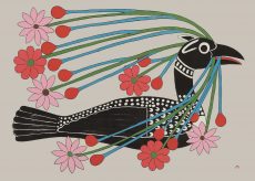 Courting Loon 2008 (Lithograph 56 x 76.5 cm)