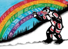 Rainbow Grizzly