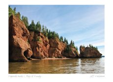 Hopewell Rocks I, Bay of Fundy