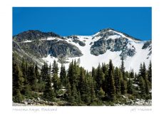 Mountain Range, Blackcomb