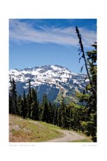 Whistler Mountain View