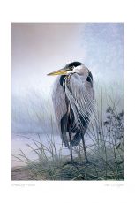 Brooding Heron