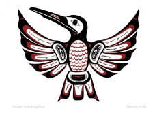 Haida Hummingbird