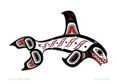 Haida Killer Whale