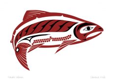 Haida Salmon