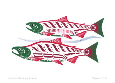 Natural Spawning Sockeye