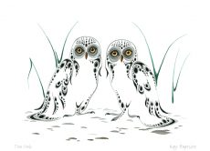 Two Owls