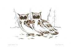 Long Eared Owls