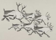 Caribou Migration (Lithograph, 38.5 x 56.7cm)