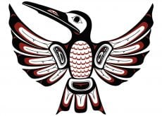 Haida Hummingbird