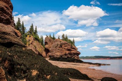 Hopewell Rocks III, NB