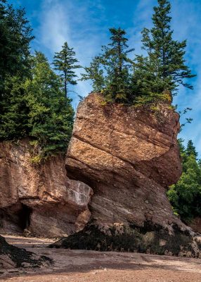 Hopewell Rocks V, NB