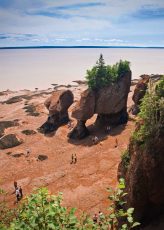 Hopewell Rocks II, Bay of Fundy