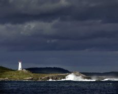 Louisbourg Harbour, NS