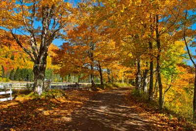 Margaree Big Intervale, NS