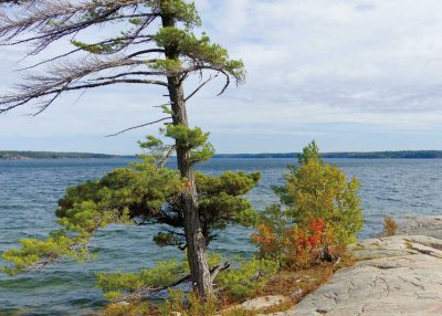 Killbear Park, Parry Sound