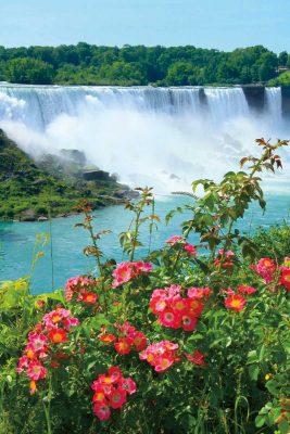 Flowery Falls, American Falls at Niagara Falls ,Ontario