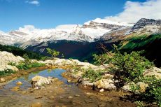 Wapta Range, Yoho National Park