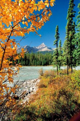 Sunwapta River, Icefield Parkway