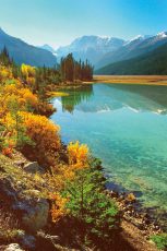 Bow Lake I, Banff National Park