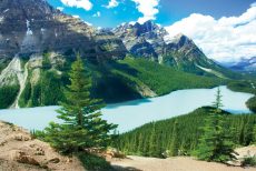 Peyto Lake, Banff National Park