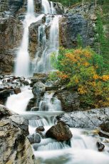 Tangle Falls, Jasper National Park