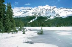 Icefield Parkway, North of Lake Louise