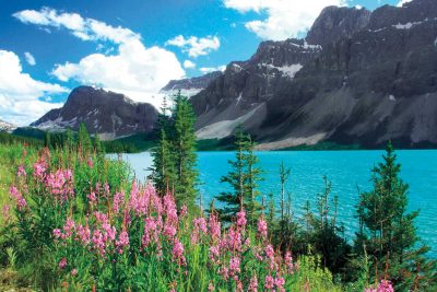 Bow Lake II, Banff National Park