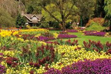 Stanley Park Gardens, Vancouver, BC