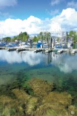 Ucluelet Harbour, Vancouver Island, BC