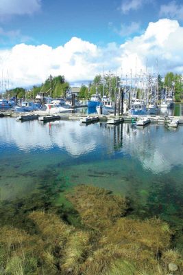 Ucluelet Harbour, Vancouver Island, BC