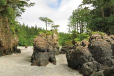 San Josef Stacks, San Josef Bay, Cape Scott Provincial Park, Vancouver Island, BC