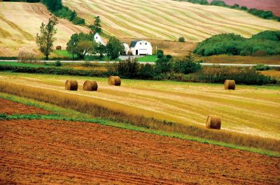 Banded Fields, Prince Edward Island