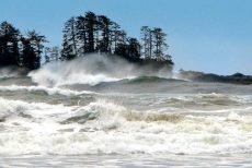 Surf Is Up, Pacific Rim National Park, Vancouver Island, BC