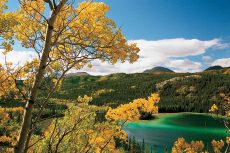 Emerald & Golds, Emerald Lake, Yukon
