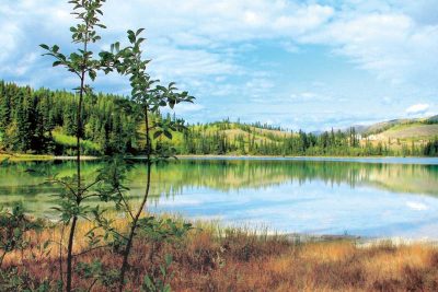 Emerald Lakeside, Emerald Lake, Yukon