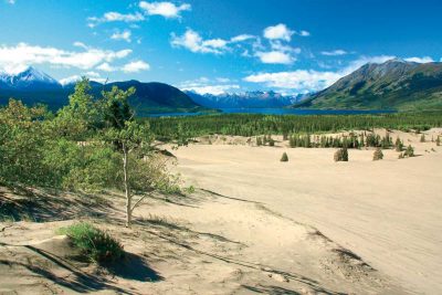 Carcross Desert & Lake Bennett, Yukon