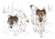 Wolf Pair