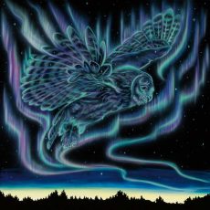 Sky Dance - Owl